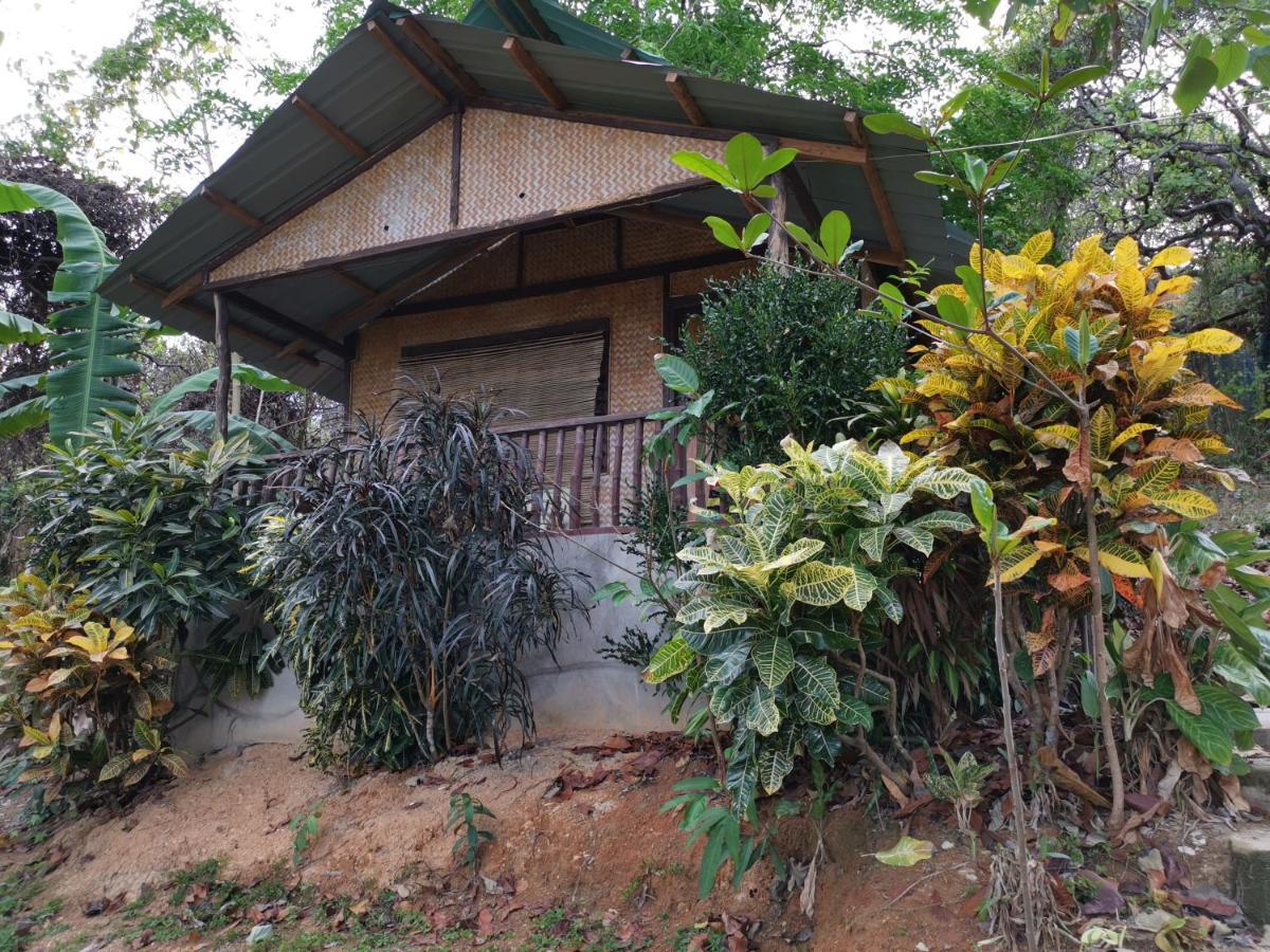 Tapik Beach Park Guest House Ел Нидо Екстериор снимка